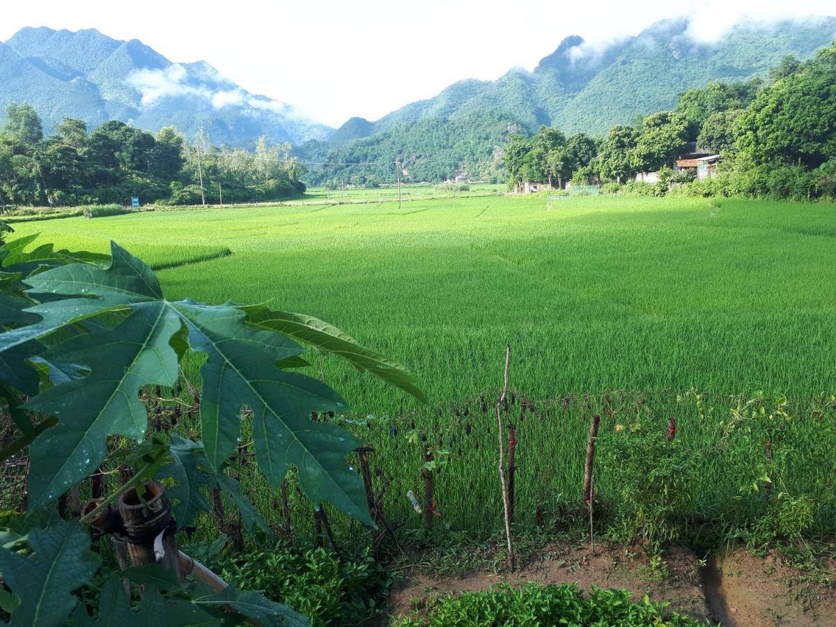 Meadow Mai Chau Homestay Exteriér fotografie