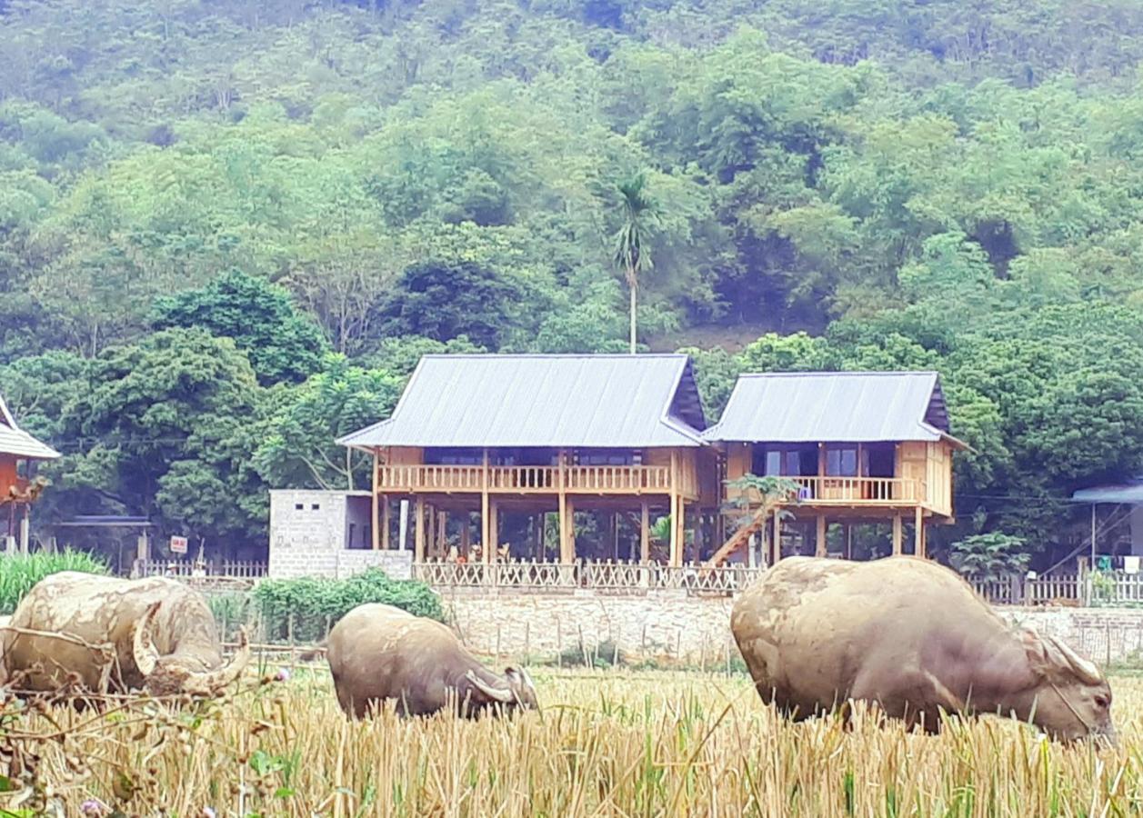 Meadow Mai Chau Homestay Exteriér fotografie