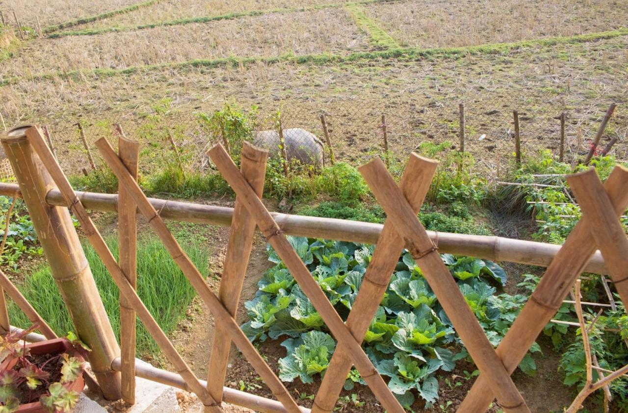 Meadow Mai Chau Homestay Exteriér fotografie