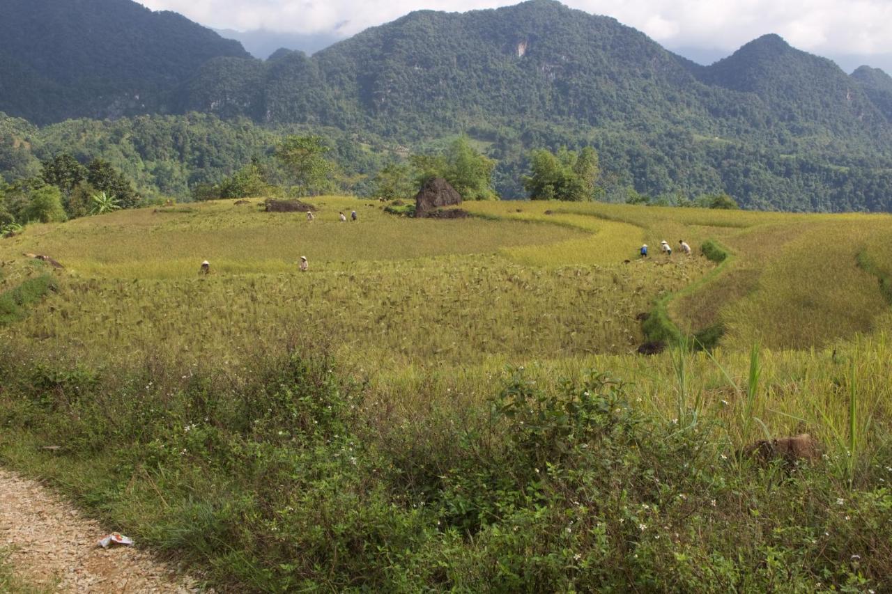 Meadow Mai Chau Homestay Exteriér fotografie